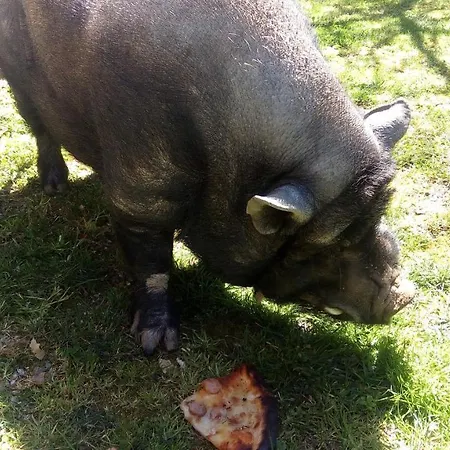 Reventino ベッド・アンド・ブレックファスト