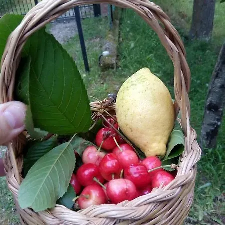 Reventino * ラメーツィア・テルメ