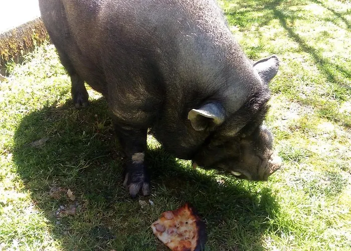 Reventino Alojamento de Acomodação e Pequeno-almoço