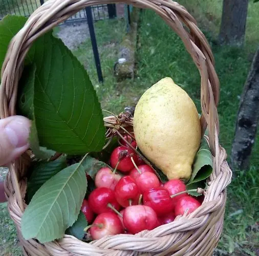 Reventino * Lamezia Terme