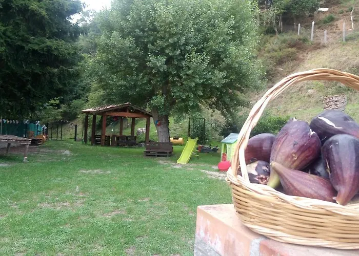 Alojamento de Acomodação e Pequeno-almoço Reventino Lamezia Terme